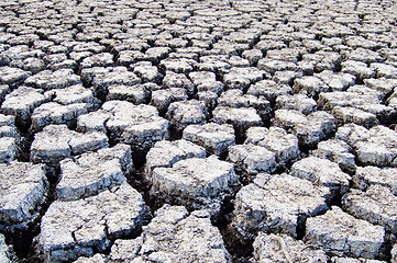 Image showing desolate wilderness