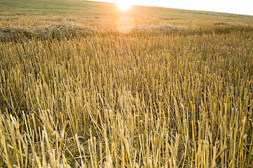 Image showing sunsets over horizon