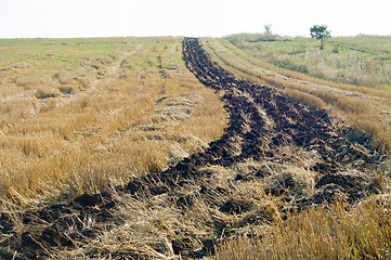 Image showing bar of black earth