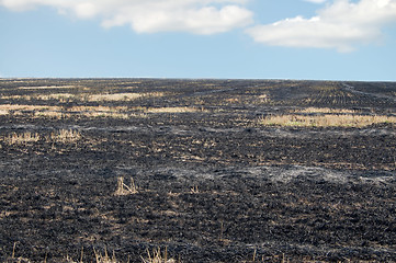 Image showing fire burning