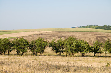 Image showing view after harvesting