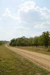 Image showing dirty rural road