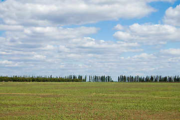 Image showing beautiful field