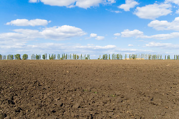 Image showing topsoil