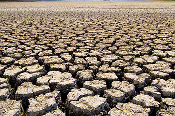 Image showing Dry ground