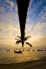 Image showing Sunset with palm and boats on tropical beach