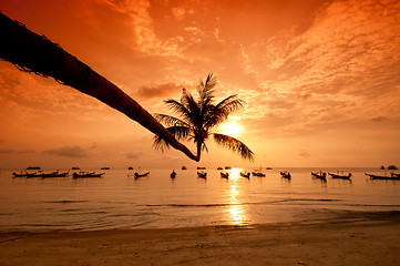 Image showing Sunset with palm and boats on tropical beach