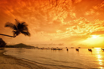 Image showing Sunset with palm and boats on tropical beach