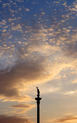 Image showing column and statue of King Sigismund III Vasa at sunset, Warsaw, Poland