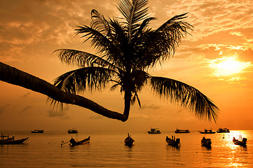 Image showing Sunset with palm and boats on tropical beach