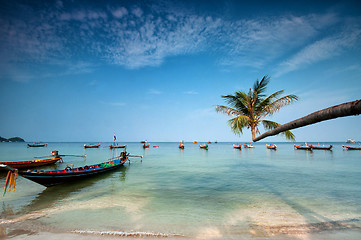 Image showing palm and boats on tropical beach, Thailand
