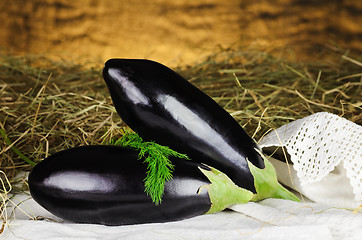 Image showing Aubergines 