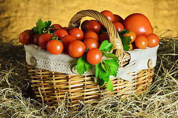 Image showing Tomatoes