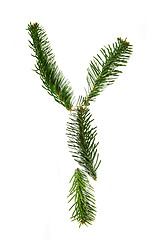 Image showing Y - symbol from christmas alphabet