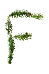 Image showing F - symbol from christmas alphabet