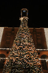 Image showing christmas tree in Ostrava