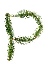 Image showing P - symbol from christmas alphabet