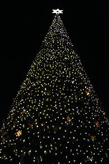 Image showing christmas tree in Ostrava 