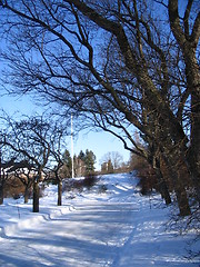 Image showing winter in Oslo