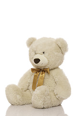 Image showing White teddy bear