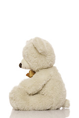 Image showing White teddy bear
