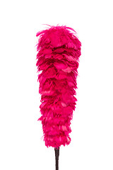 Image showing Pink soft duster