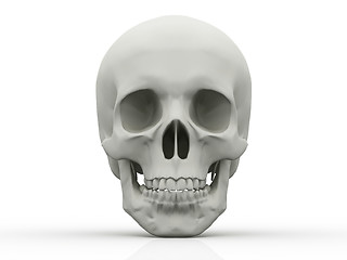 Image showing 3d human skull isolated on white background 