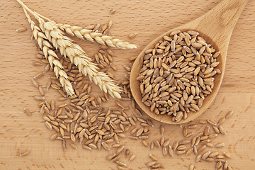 Image showing Wheat