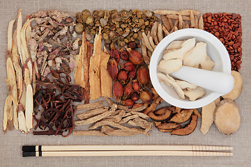 Image showing Traditional Chinese Medicine