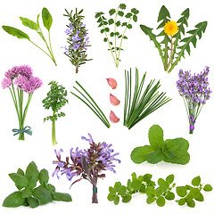 Image showing Herbs