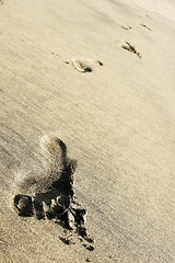 Image showing Beach Footprints