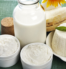 Image showing Dairy Products