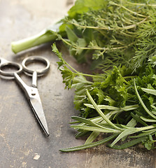 Image showing Fresh Herbs 