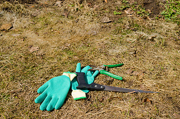 Image showing rubber gloves hand saw clippers tree twig cut 