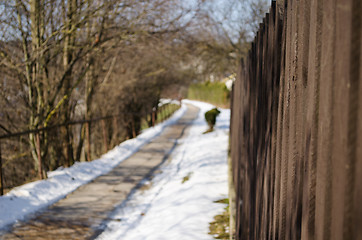 Image showing bright brown color plank fence winding path trees  