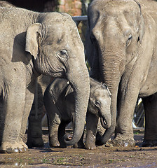 Image showing Protecting baby