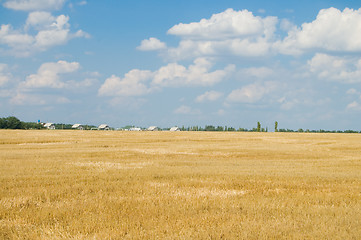 Image showing field after harvesting