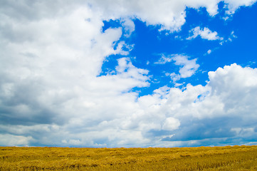 Image showing dark blue sky