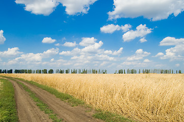 Image showing earth road