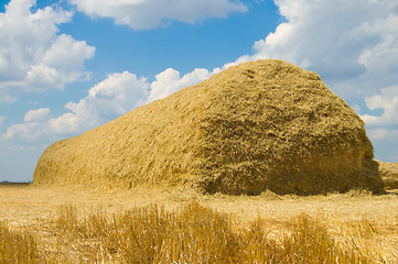 Image showing haystack of straw