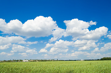 Image showing blue and green