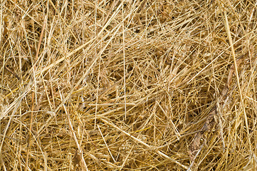 Image showing heap of straw as background