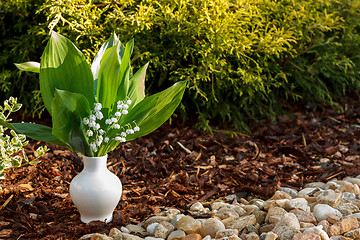 Image showing Blooming Lily of the valley in white vase outdoor