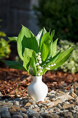 Image showing Blooming Lily of the valley in white vase outdoor