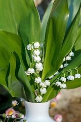 Image showing Blooming Lily of the valley in spring garden