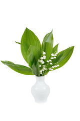 Image showing Blooming Lily of the valley