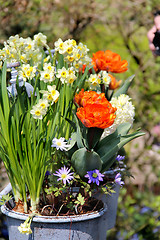 Image showing Sunny terrace with a lot of flowers