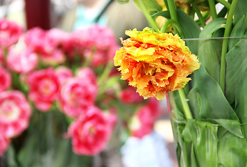 Image showing Big mix of amazing flowers in vases 