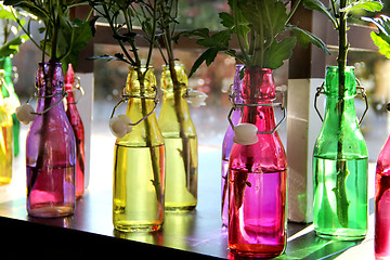 Image showing Flowers in the vivid bottles 