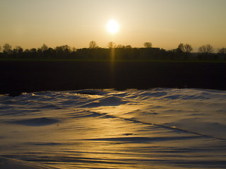 Image showing Plastic tarp on arable